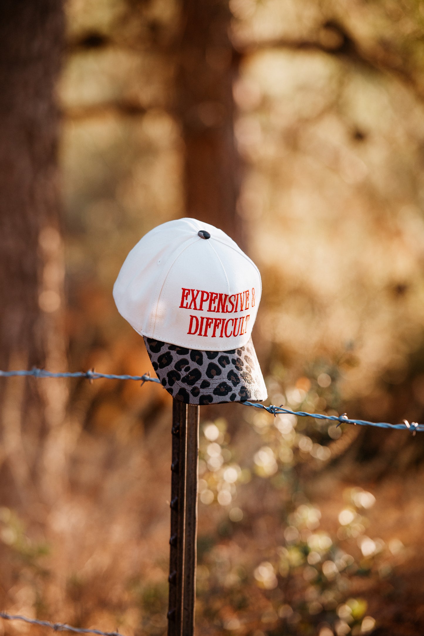 The Expensive & Difficult Trucker